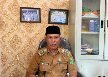 2025, Pemerintah Rencanakan Pasang 30 Unit LPJU Desa Loh Sumber 