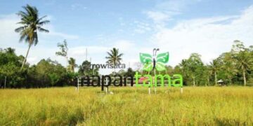 Desa Loh Sumber Bangkitkan Agrowisata Pasca Pandemi