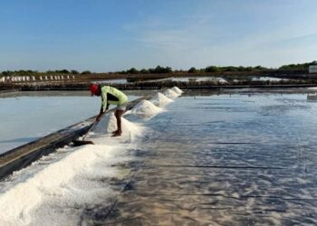 Kukar Kembangkan Produksi Garam Metode Tunnel di Desa Kersik