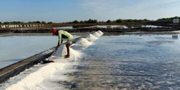 Kukar Kembangkan Produksi Garam Metode Tunnel di Desa Kersik