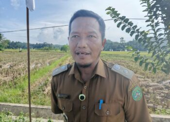 Desa Sumber Sari Kokohkan Diri sebagai Lumbung Padi Kukar