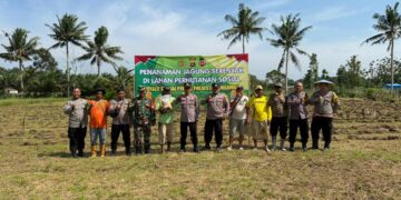 Polsek Sungai Pinang Dukung Swasembada Pangan Nasional dengan Penanaman Jagung Serentak Kuartal IV