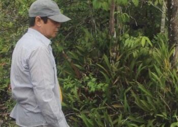 Wisata Alam Kahala Ilir Terhambat Infrastruktur dan Anggaran