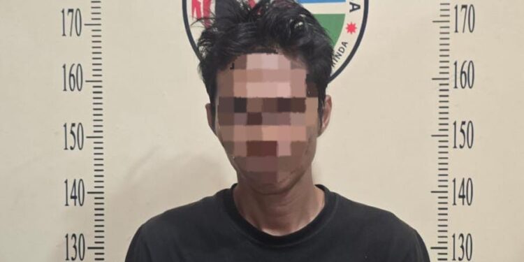 Sabu 0,60 Gram Disimpan di Celana, Pria di Sambutan Diringkus Polisi