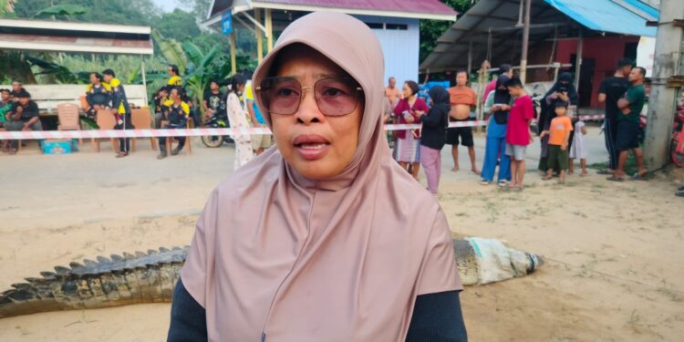 Warga Sangatta Utara Diserang Buaya, Camat Minta Warga Waspadai Bantaran Sungai
