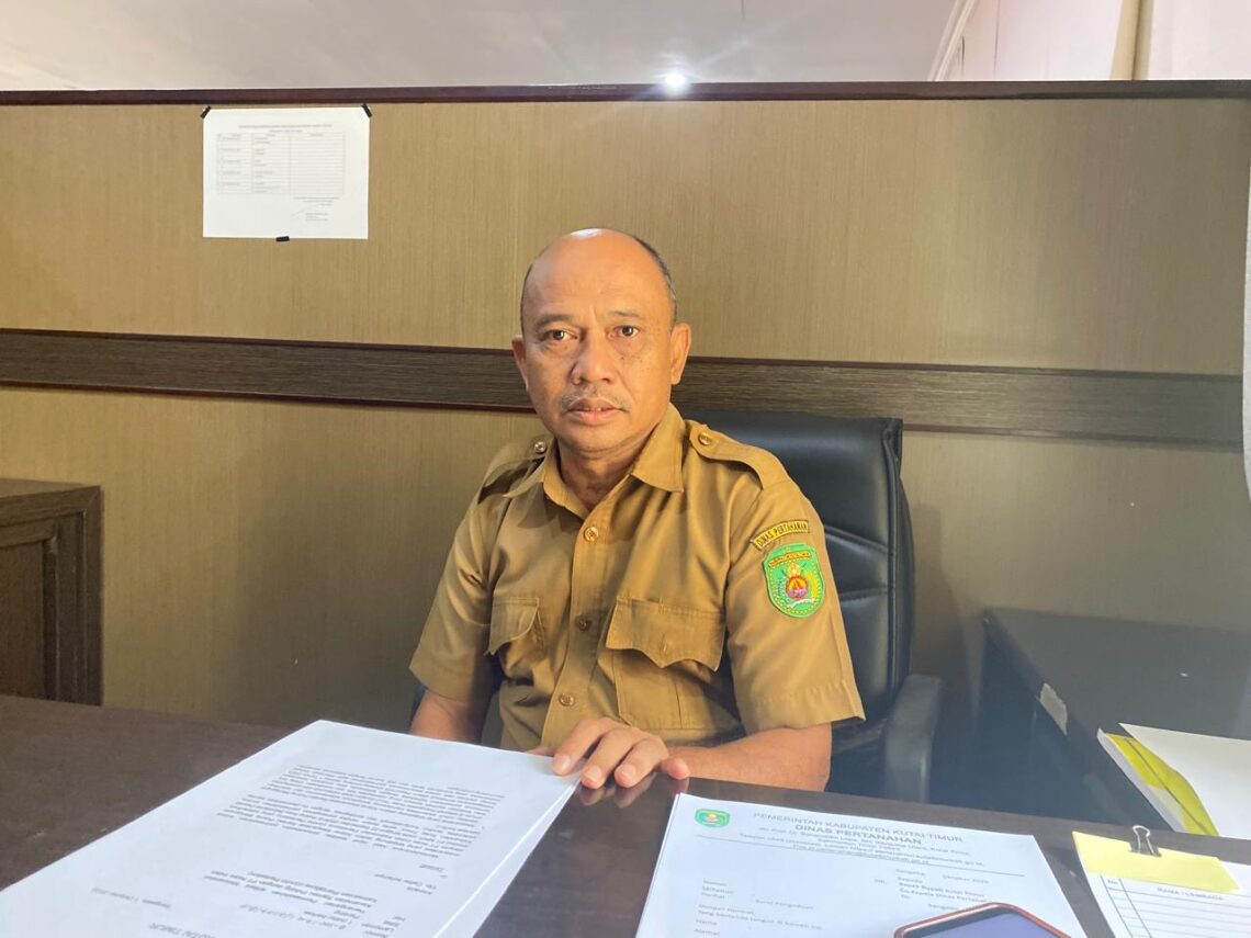 Dinas Pertanahan Kutim Penuhi Target Mediasi Sengketa Tanah